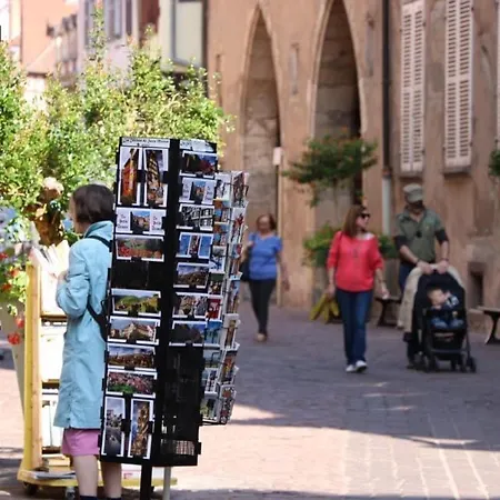 Сasa de vacaciones Maison Spacieuse A Colmar, 5 Chambres, Terrasse, Wifi, Parking Gratuit - Fr-1-722-12 *