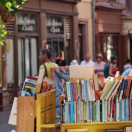 Maison Spacieuse à Colmar, 5 Chambres, Terrasse, Wifi, Parking Gratuit - Fr-1-722-12 *