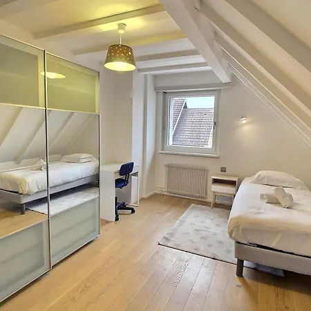 Maison Spacieuse A Colmar, 5 Chambres, Terrasse, Wifi, Parking Gratuit - Fr-1-722-12 Ferienhaus