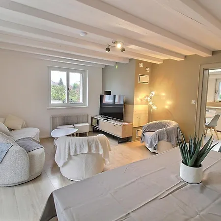 Maison Spacieuse A Colmar, 5 Chambres, Terrasse, Wifi, Parking Gratuit - Fr-1-722-12 Ferienhaus Colmar