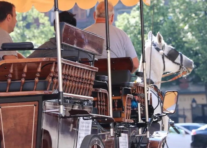 Maison Spacieuse A Colmar, 5 Chambres, Terrasse, Wifi, Parking Gratuit - Fr-1-722-12 Colmar