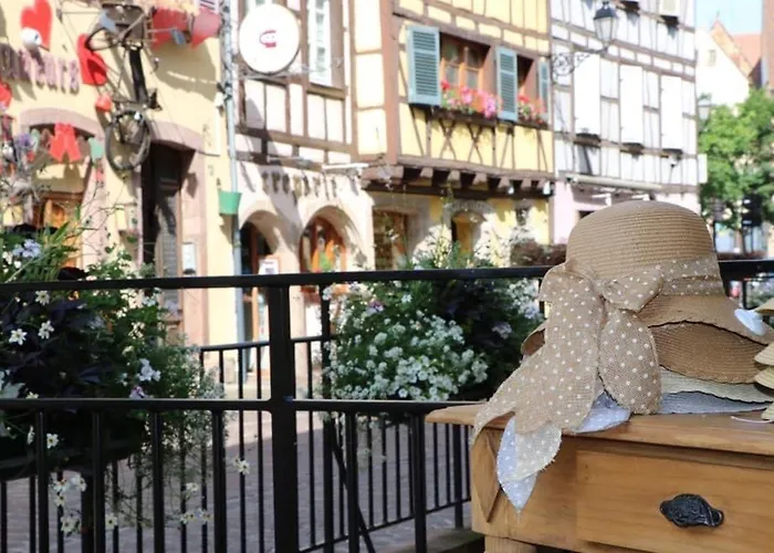Maison Spacieuse A Colmar, 5 Chambres, Terrasse, Wifi, Parking Gratuit - Fr-1-722-12 * Colmar