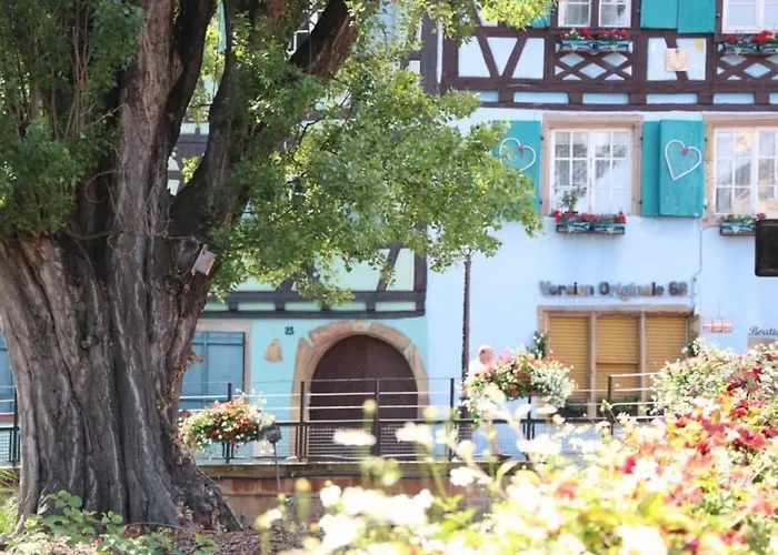 Maison Spacieuse A Colmar, 5 Chambres, Terrasse, Wifi, Parking Gratuit - Fr-1-722-12