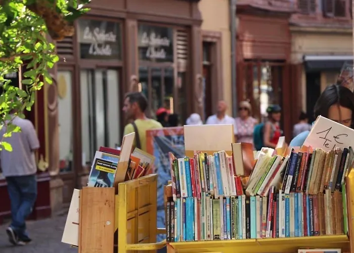 Maison Spacieuse A Colmar, 5 Chambres, Terrasse, Wifi, Parking Gratuit - Fr-1-722-12 *