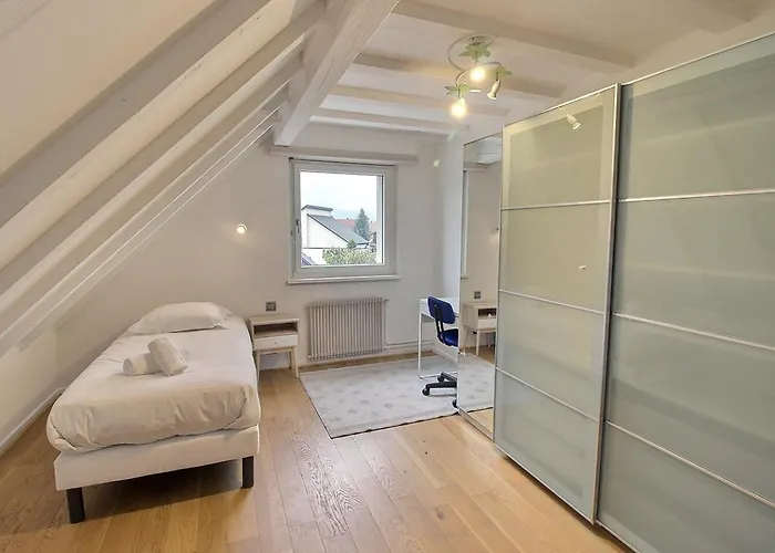 Сasa de vacaciones Maison Spacieuse A Colmar, 5 Chambres, Terrasse, Wifi, Parking Gratuit - Fr-1-722-12