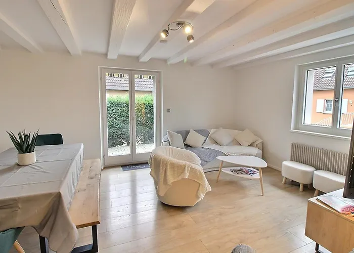 Maison Spacieuse A Colmar, 5 Chambres, Terrasse, Wifi, Parking Gratuit - Fr-1-722-12 Colmar