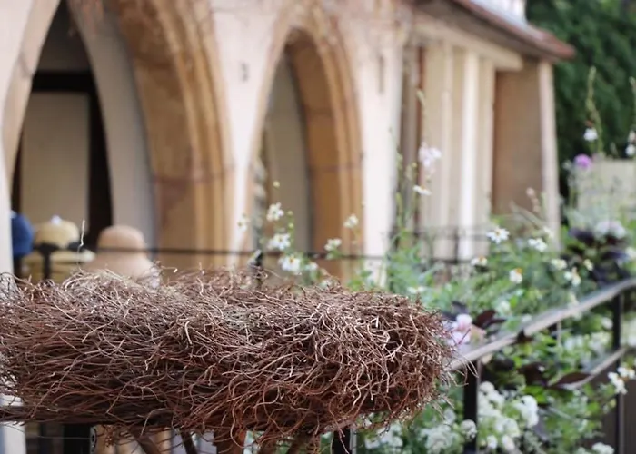 Maison Spacieuse A Colmar, 5 Chambres, Terrasse, Wifi, Parking Gratuit - Fr-1-722-12 Colmar